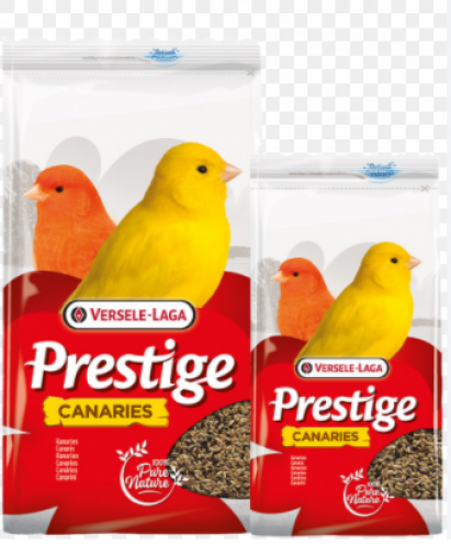 اكل كناري بدون فيتامين فيرسيلاقا 1 كيلو