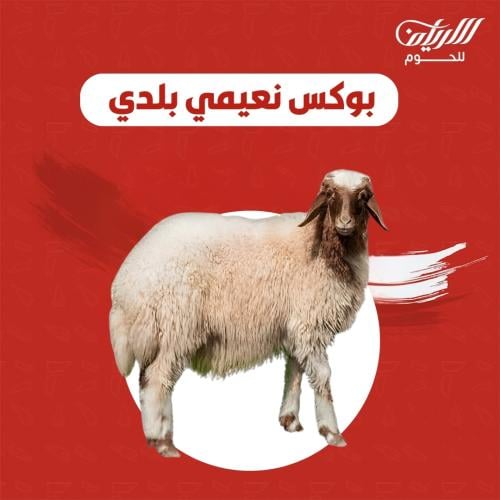 بوكس نعيمي بلدي