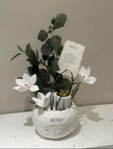 فازة منزل جديد