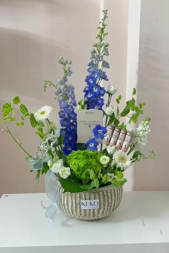 garden flowers زهور هولندية