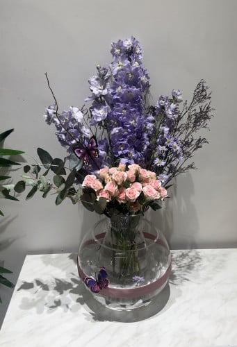 فازة السمكة 2