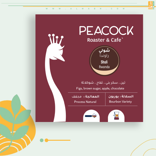 PEACOCK - راوندا شولي