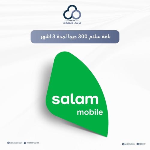 باقة سلام 300 جيجا لمدة 3 اشهر