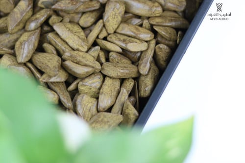 دقة المجالس