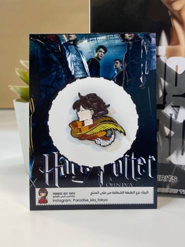 Harry Potter pins