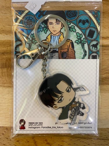 Attack on Titan (23)