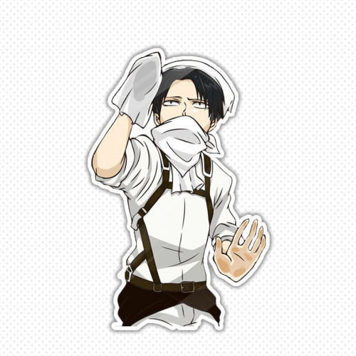 Cleaning Levi Stickers
