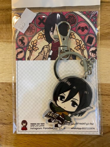 Attack on Titan (24)