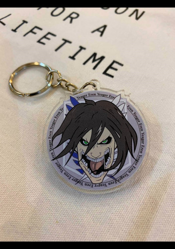 Attack on Titan (13)