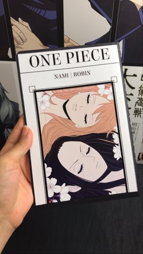 one piece - robin note book