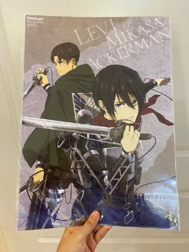 Attack on titan (24)