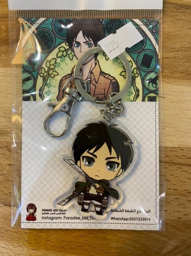 Attack on Titan (22)