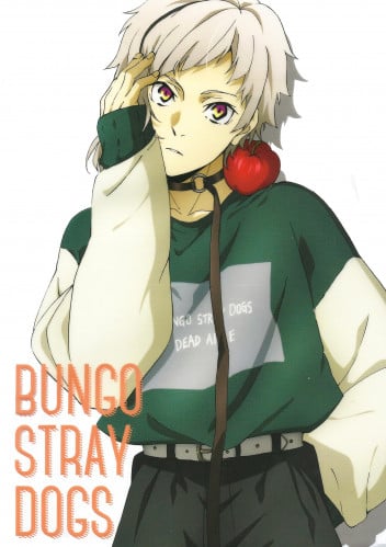 Bungou Stray Dogs (7)