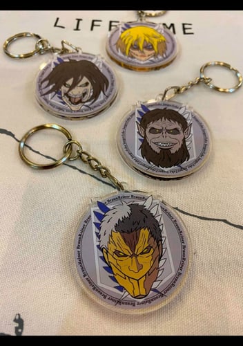 Attack on Titan (13)