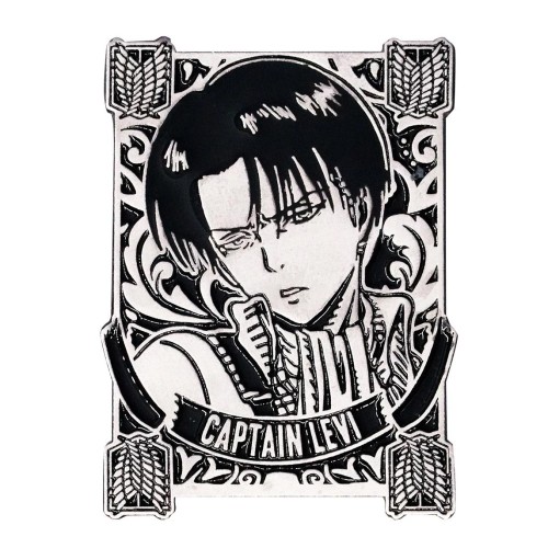 Pins levi attack