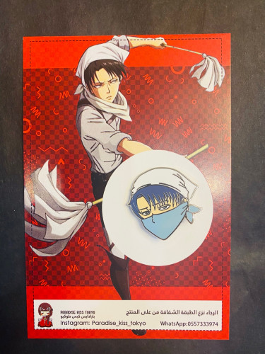levi ackerman pins