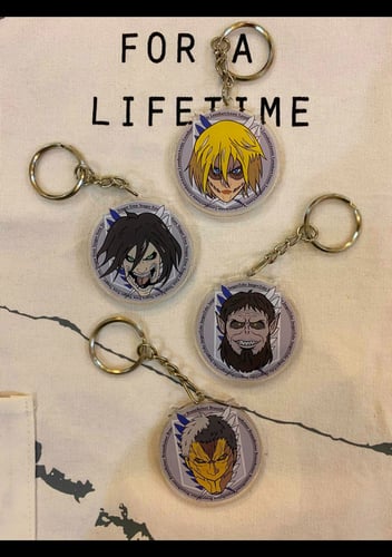 Attack on Titan (13)