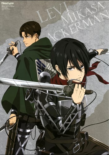 Attack on titan (24)