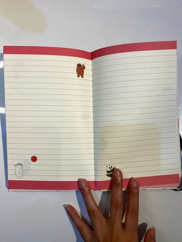 Our bear planers | we bare bears