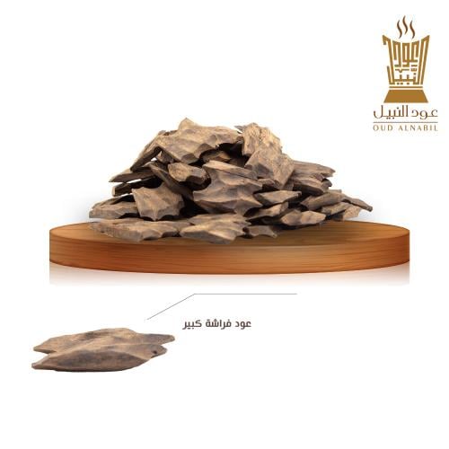 عود فراشة كبير