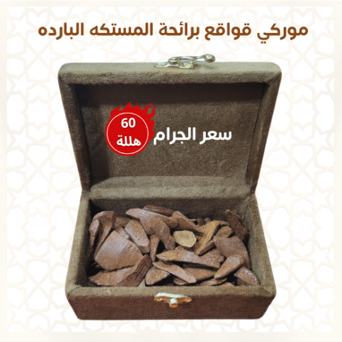 عود موركي قواقع برائحة المستكه البارده