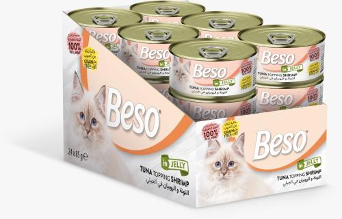 كرتون التونة والروبيان في الجيلي