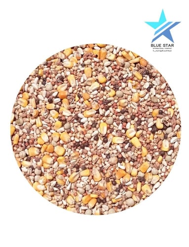 مشكل حمام زاجل مسافات