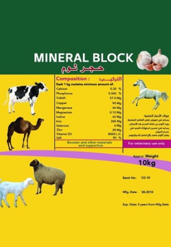 حجر ثوم ( أخضر ) وزن 10ك