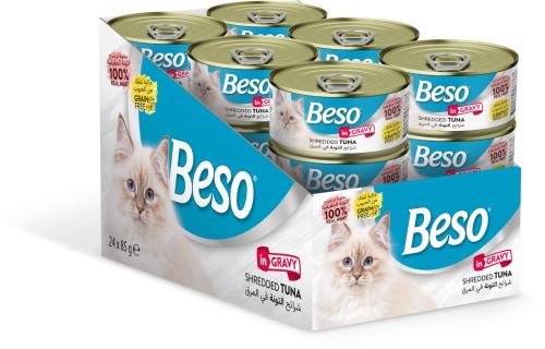 كرتون شرائح التونة في المرق