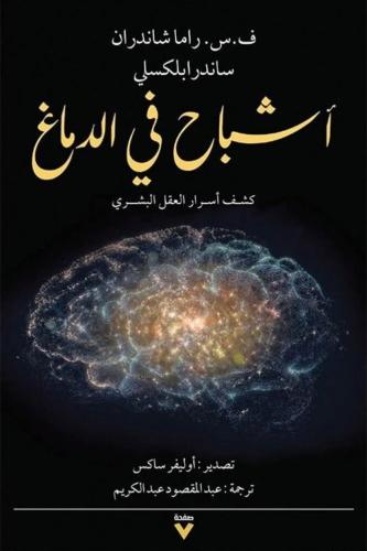 أشباح في الدماغ :كشف أسرار الدماغ البشري