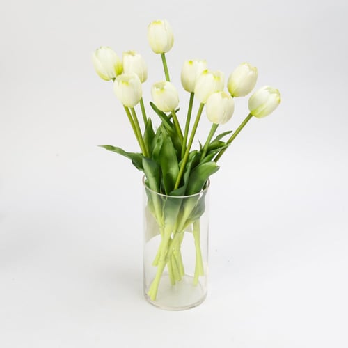 فازة توليب أبيض