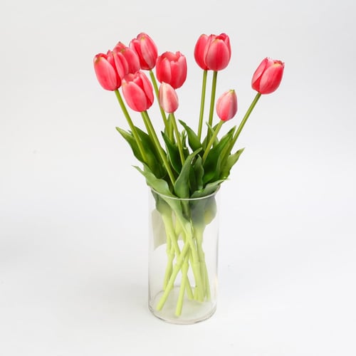 فازة توليب وردي