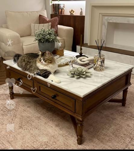 طاولة قهوة مقاس 120*70 سم ارتفاع 50 سم، 2 درج ، ال...