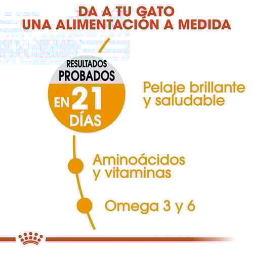 رويال كانين اكل قطط جاف للعناية بالشعر والجلد كيس...