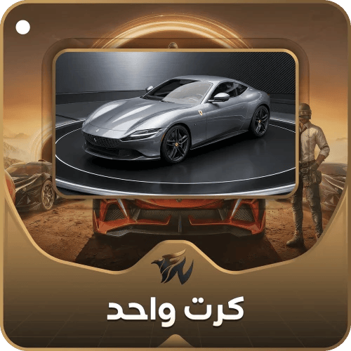 سيارة ببجي