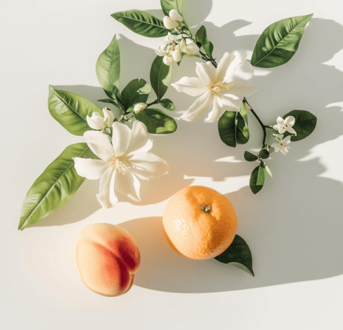 عطر لو بيرفيوم ان وايت من ايلي صعب - عطور للنساء،...