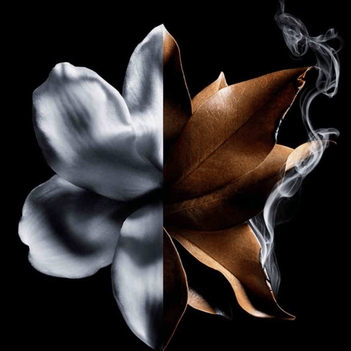 جيفنشي لانترديت أبسولو أو دي بارفان انتينس للنساء...