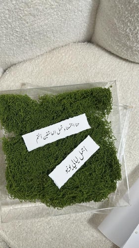 بوكس الرسالة