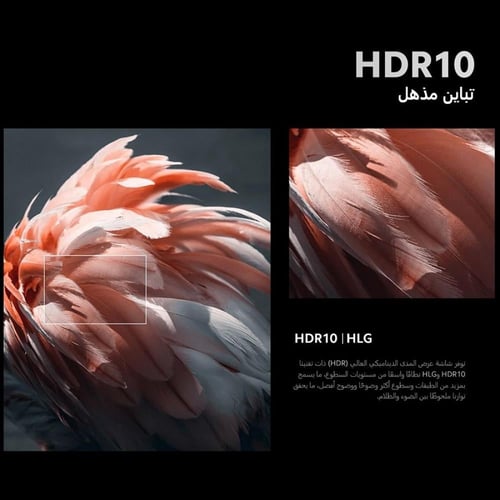 تلفزيون شاومي الذكي A 2025 بدقة 4K UHD مقاس 55 انش...