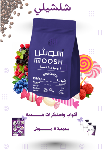 قهوة مختصة اثيوبيا شيلشيلي