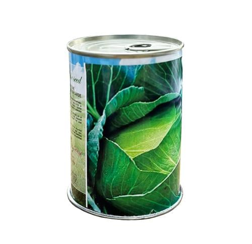 Italian spherical green cabbage seeds 50g
