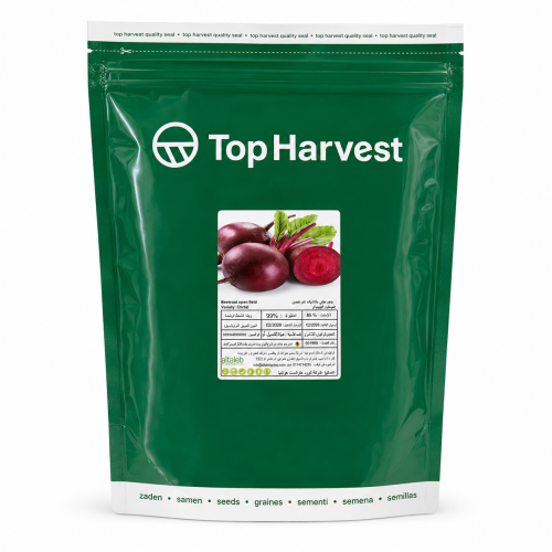 Chrtal Red Beetroot Seeds for Open Field Planting...