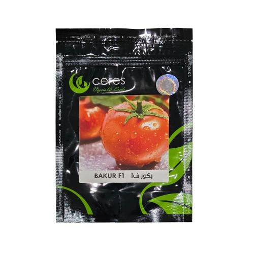 بذور طماطم محمي هجين بكور 1000 بذرة