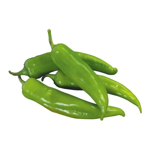 بذور فلفل حار بلدية