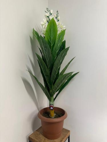 شجرة مع مركن 120سم