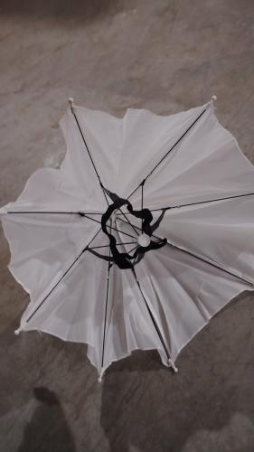 52cm Sunshade