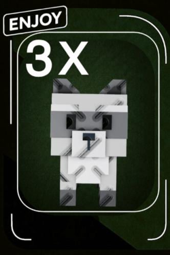 raccoon | راكون