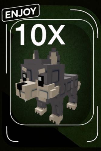 wolf | ذئب