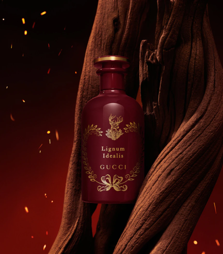 تستر غوتشي ليجنم ايديلز 100مل The Alchemists Garde...