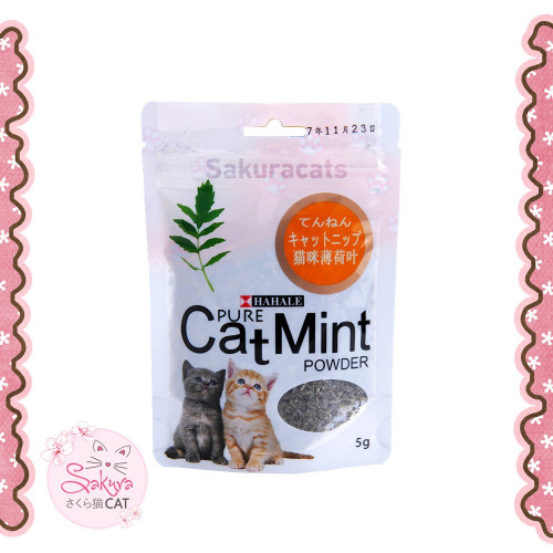 بودرة عشبة كاتنيب PURE طبيعي